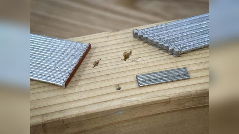 Brad Nailer Vs Finish Nailer: Which One Do You Need?