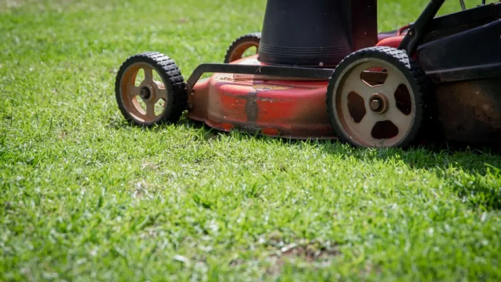 Electric Lawn Mower Lifespan: How Long Does It Really Last?